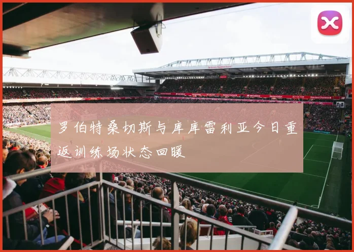 罗伯特桑切斯与库库雷利亚今日重返训练场状态回暖